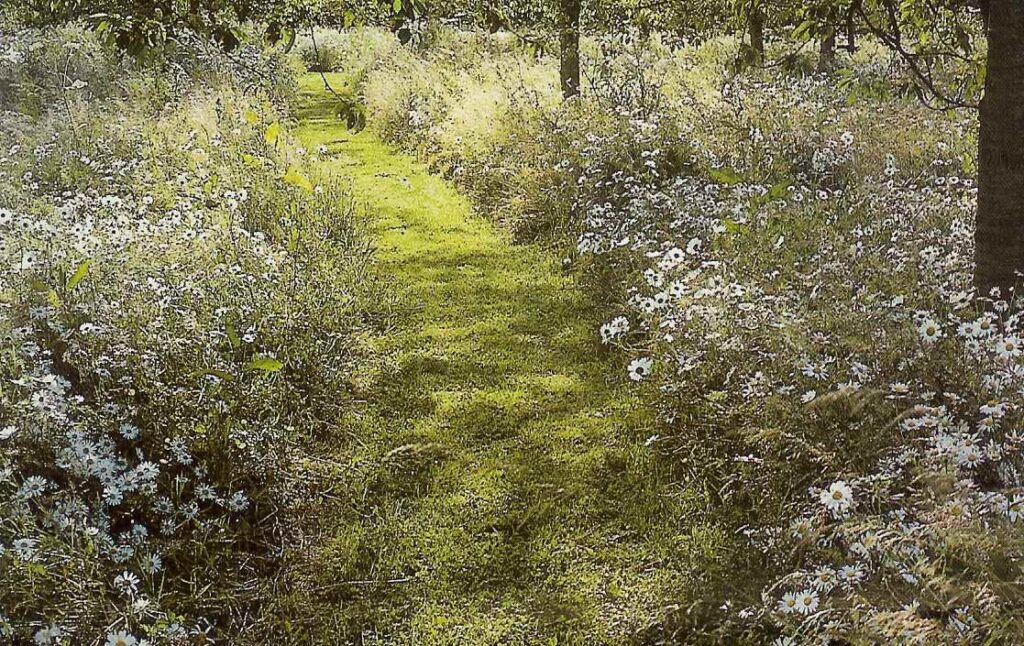 grass path through orchard wit wild flowers