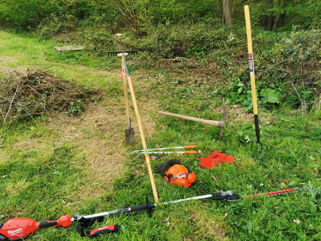 useful tools for bramble removal by hand